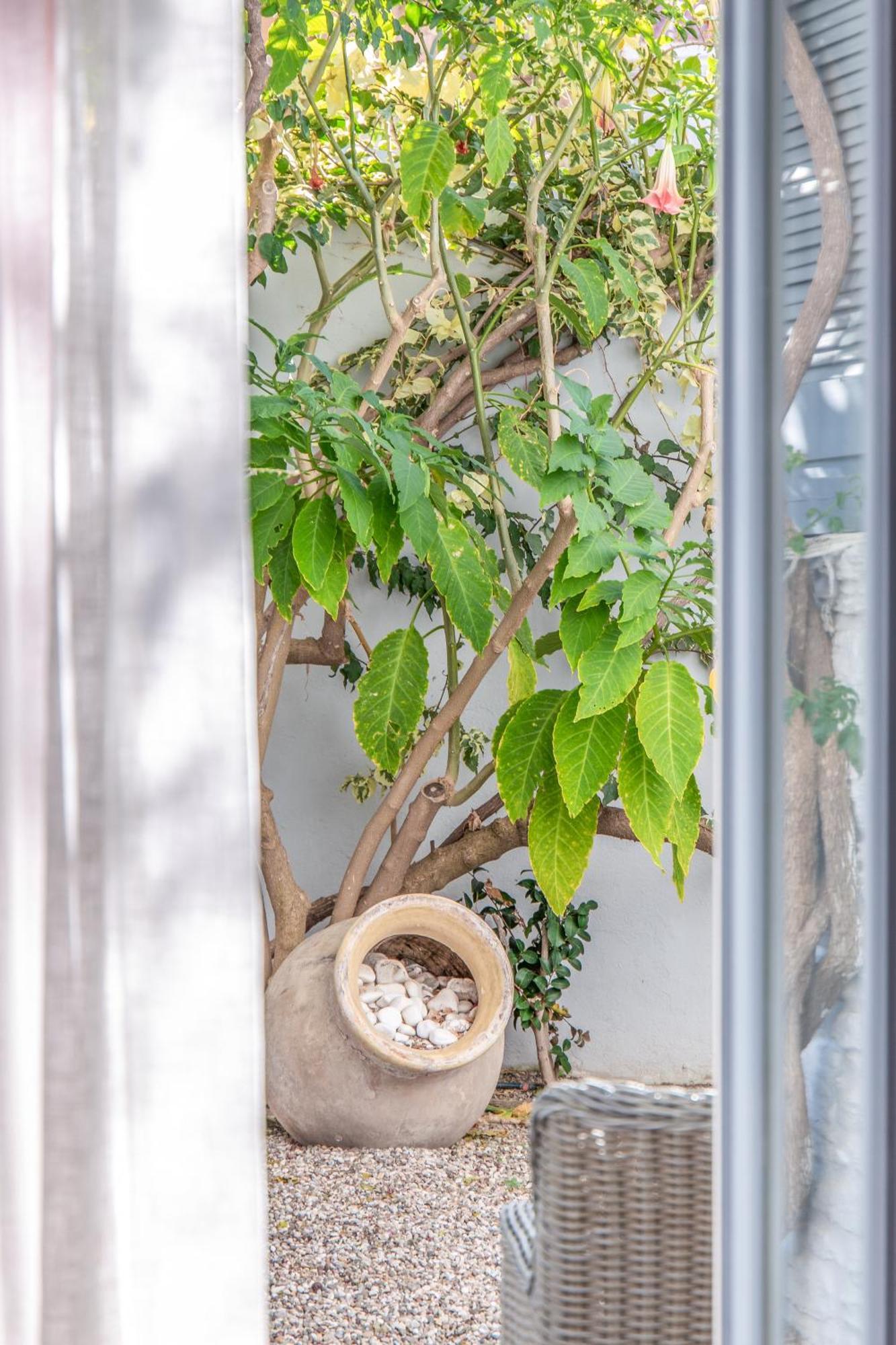 Micra Anglia Boutique Hotel & Spa Andros Town Luaran gambar