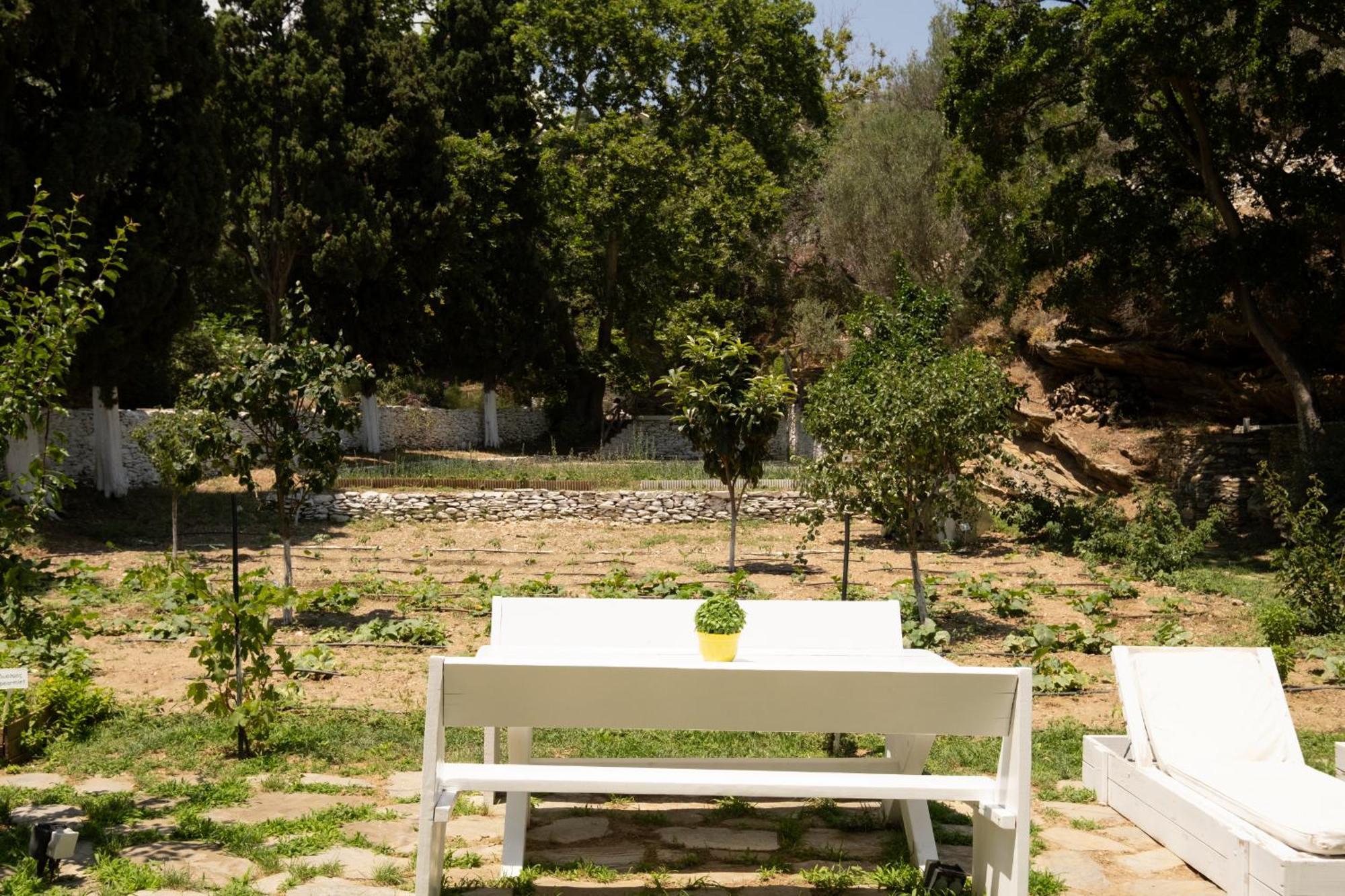 Micra Anglia Boutique Hotel & Spa Andros Town Luaran gambar